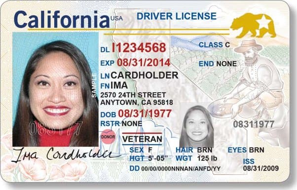 Driver's license application assistance